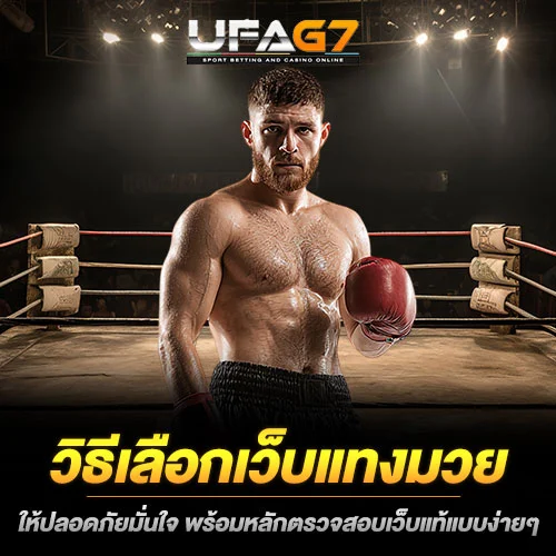 วิธีเลือกเว็บแทงมวย