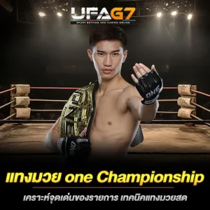 แทงมวย-one