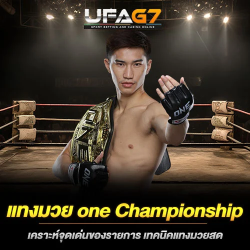 แทงมวย-one