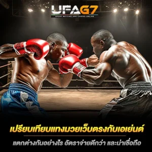 แทงมวยเว็บตรงกับเอเย่นต์