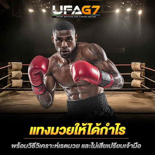 แทงมวยให้ได้กำไร